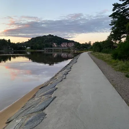 Experience A Fantastic Summer House 2025 *